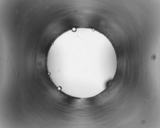 X0000103970092200809191544