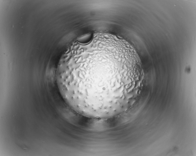 X0000103970093200809191544