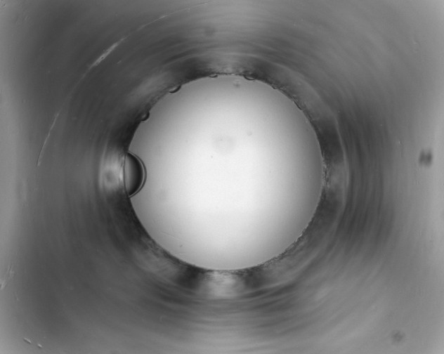 X0000103970095200809191544