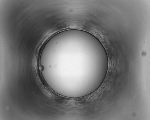 X0000103970098200809191543