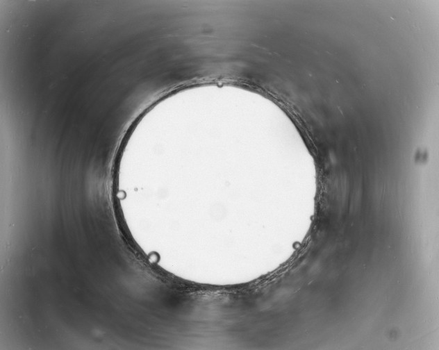 X0000103970100200809191543