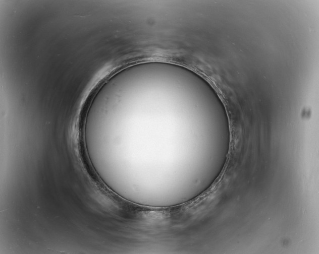 X0000103970102200809191543