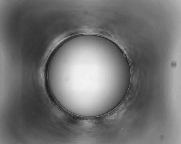 X0000103970103200809191543