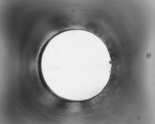 X0000103970104200809191543