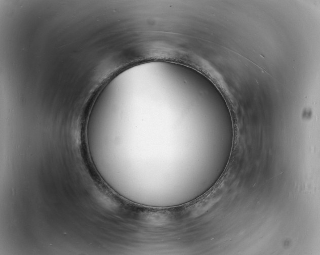 X0000103970106200809191543