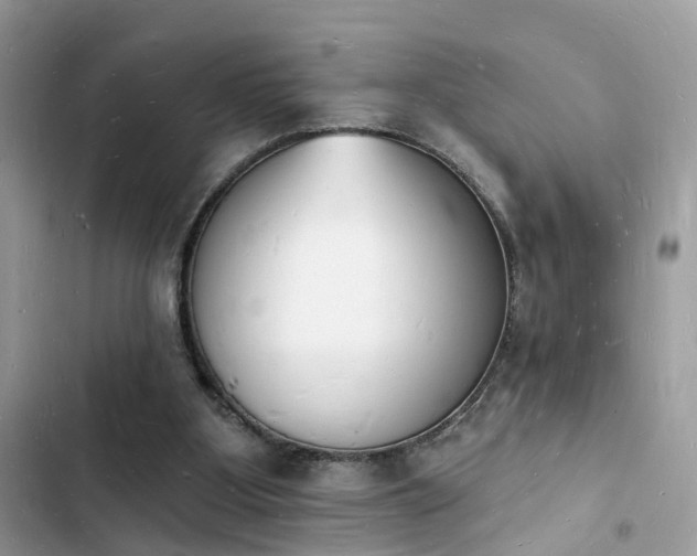 X0000103970107200809191543