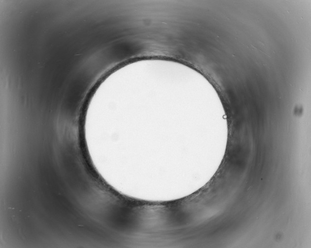 X0000103970108200809191543