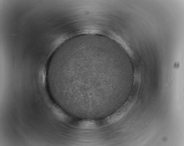 X0000103970110200809191543