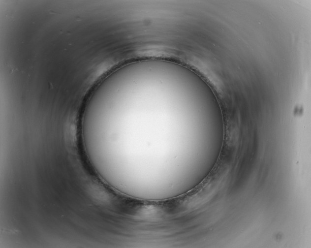 X0000103970111200809191543