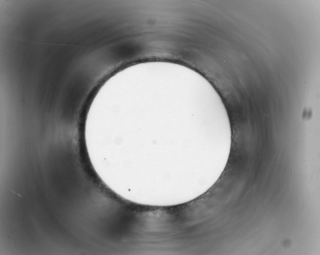 X0000103970112200809191543