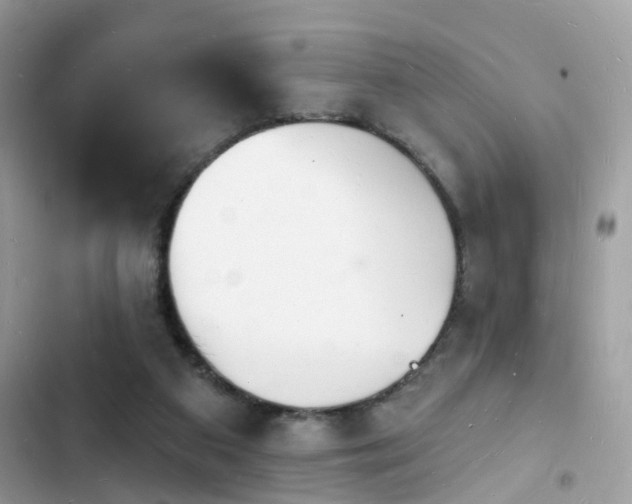 X0000103970113200809191543