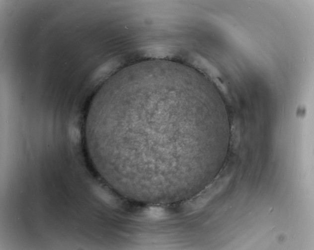 X0000103970114200809191543