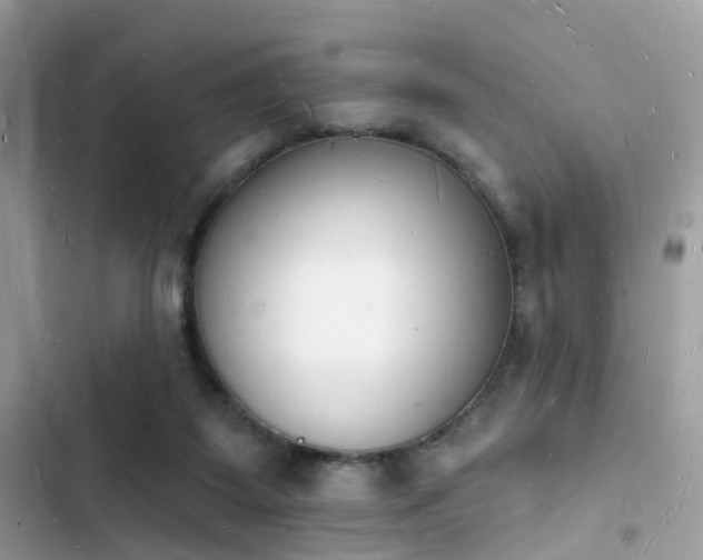 X0000103970115200809191543