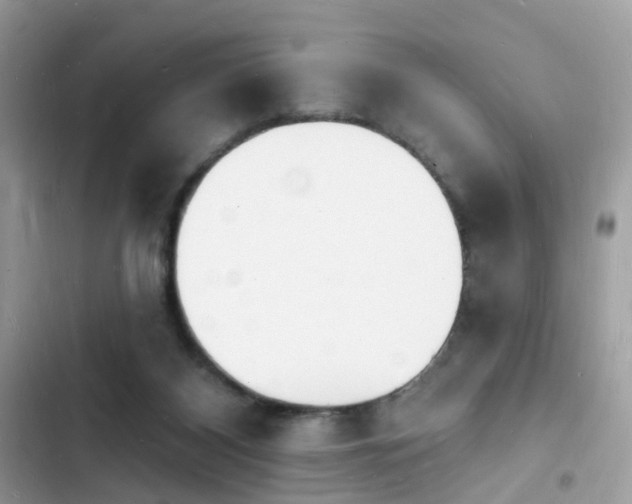 X0000103970116200809191543