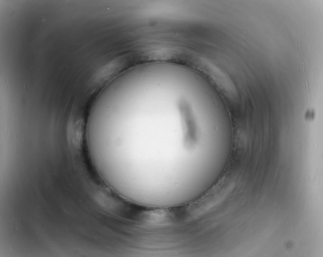 X0000103970118200809191543