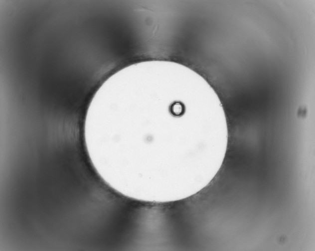 X0000103970120200809191543