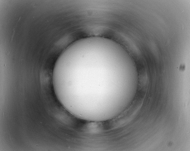 X0000103970126200809191543