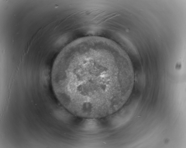 X0000103970127200809191543