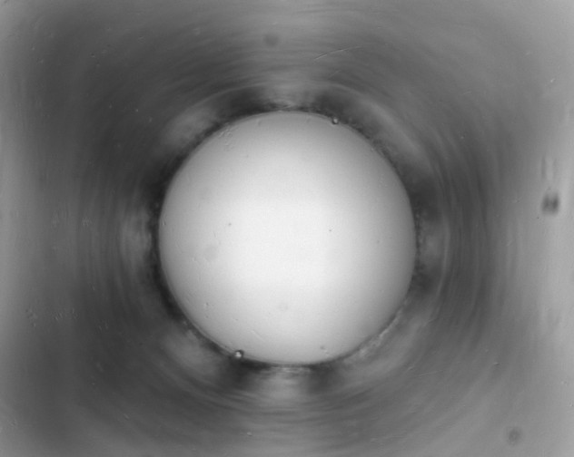 X0000103970128200809191543