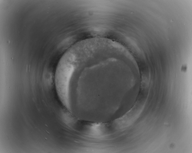 X0000103970130200809191543