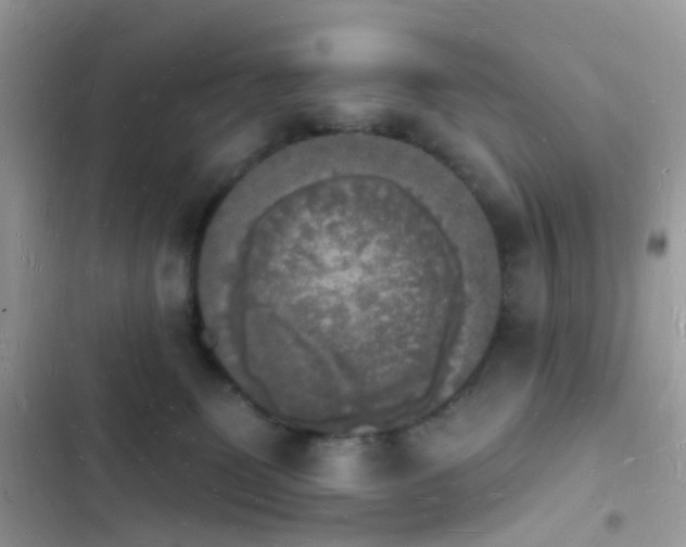 X0000103970131200809191543