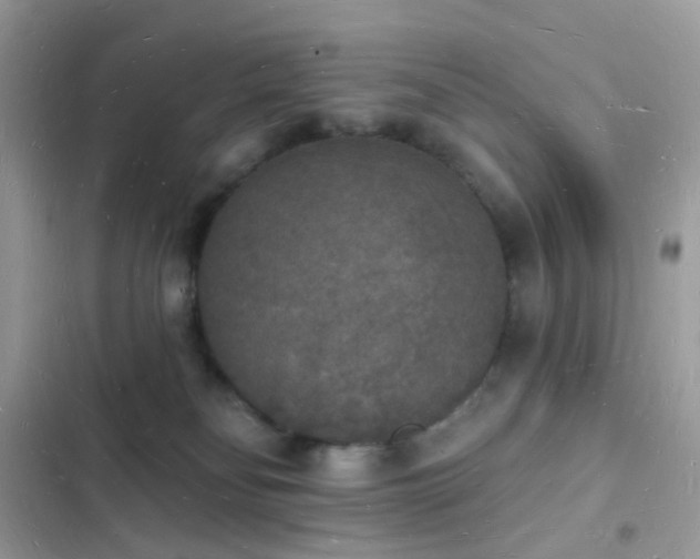 X0000103970134200809191543