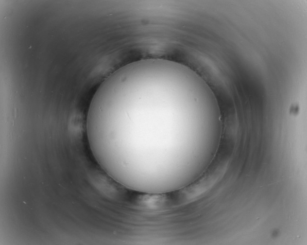 X0000103970135200809191543