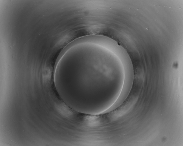 X0000103970139200809191543