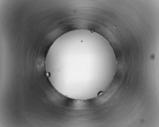 X0000103970141200809191543