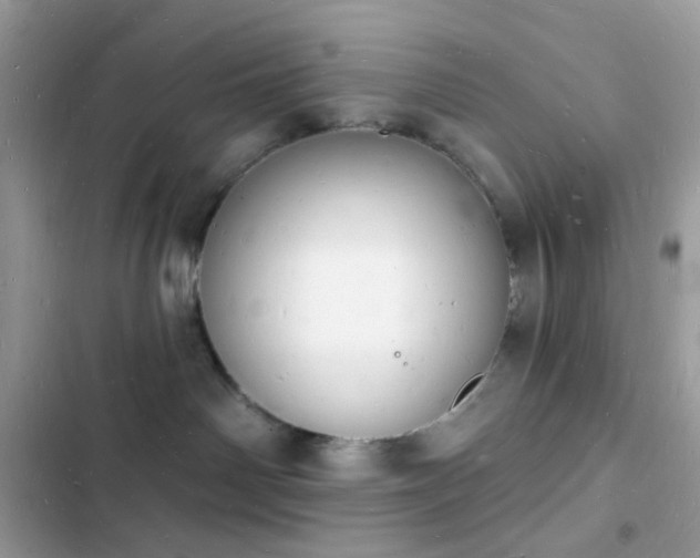 X0000103970142200809191543