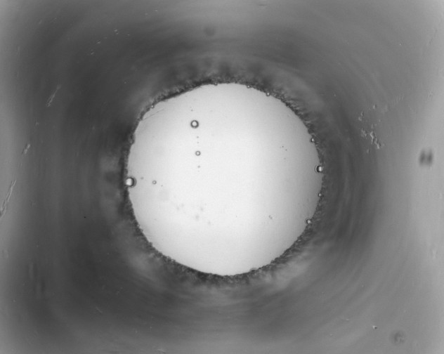 X0000103970144200809191543