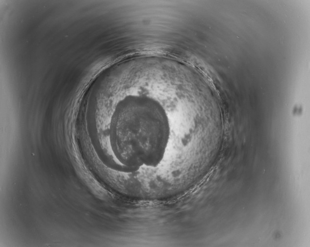 X0000103970145200809191542