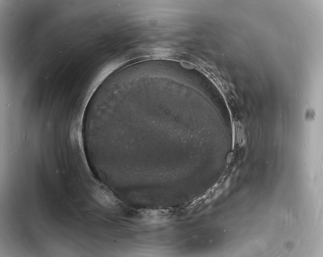 X0000103970147200809191542