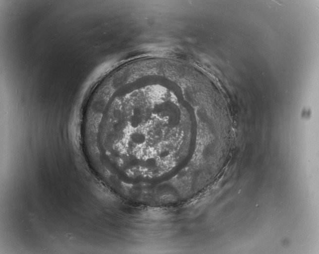 X0000103970149200809191542