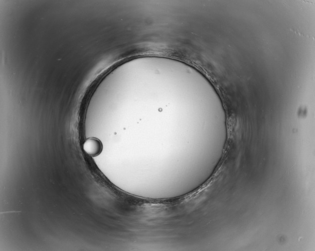 X0000103970150200809191542