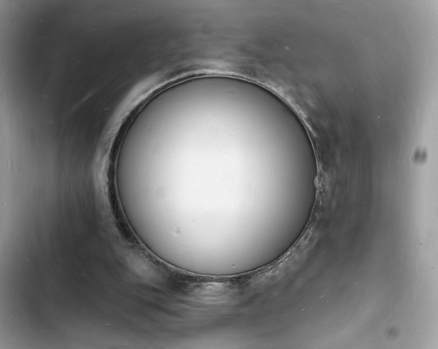 X0000103970151200809191542