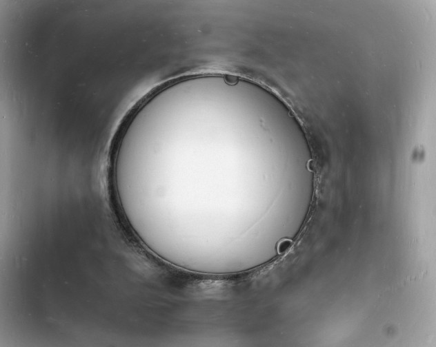 X0000103970152200809191542