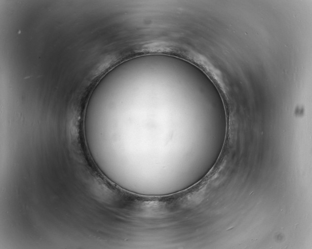 X0000103970153200809191542