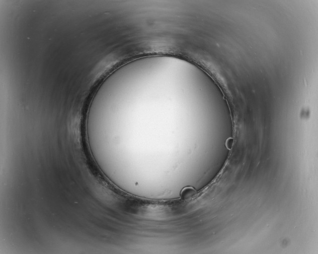 X0000103970154200809191542