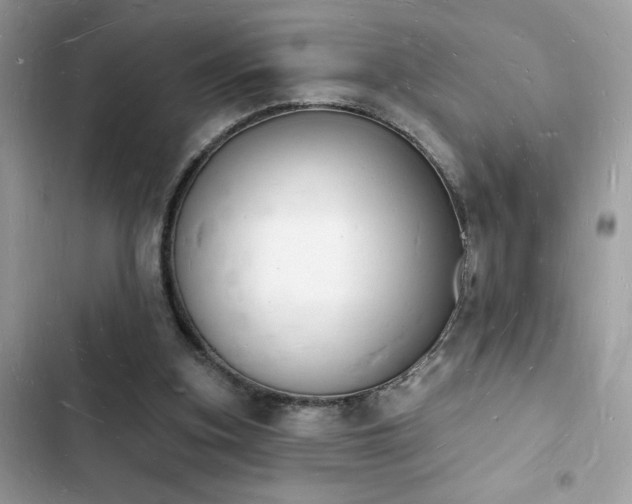 X0000103970155200809191542