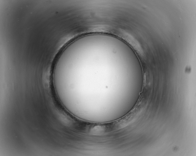 X0000103970156200809191542