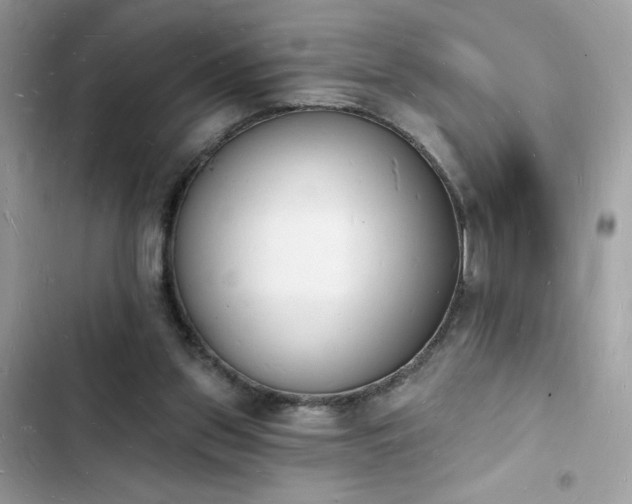 X0000103970157200809191542