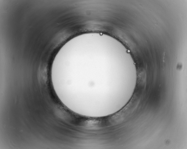 X0000103970158200809191542