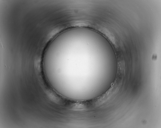 X0000103970159200809191542