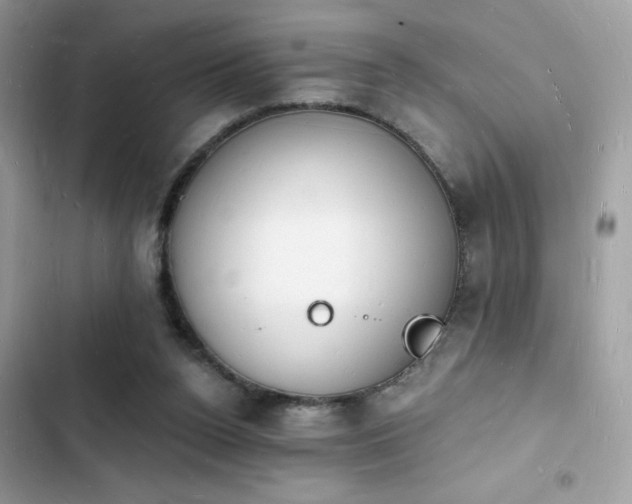 X0000103970160200809191542