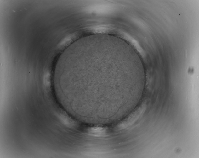 X0000103970161200809191542