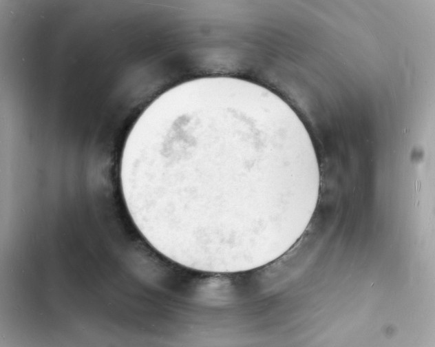 X0000103970162200809191542