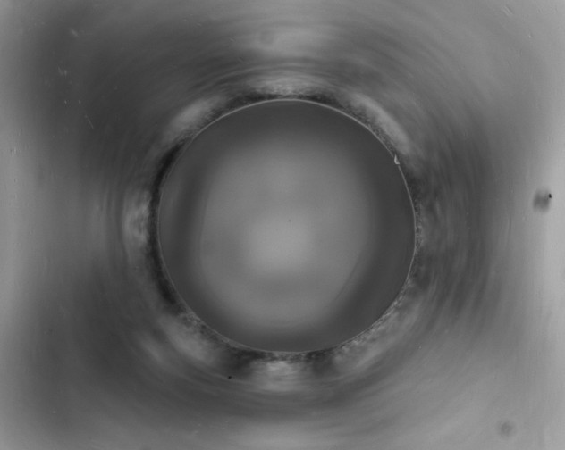 X0000103970163200809191542