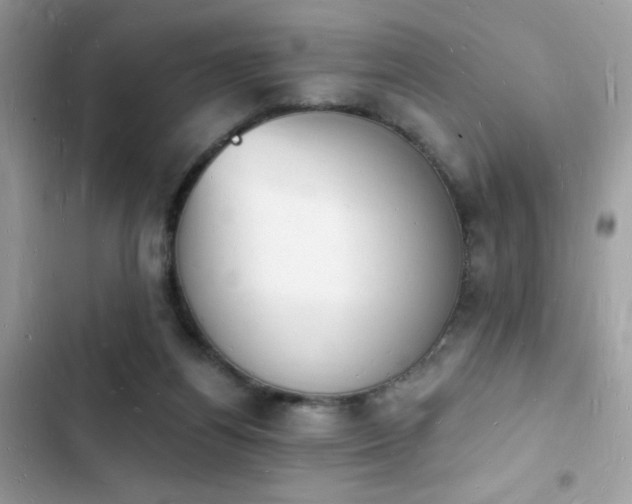 X0000103970164200809191542