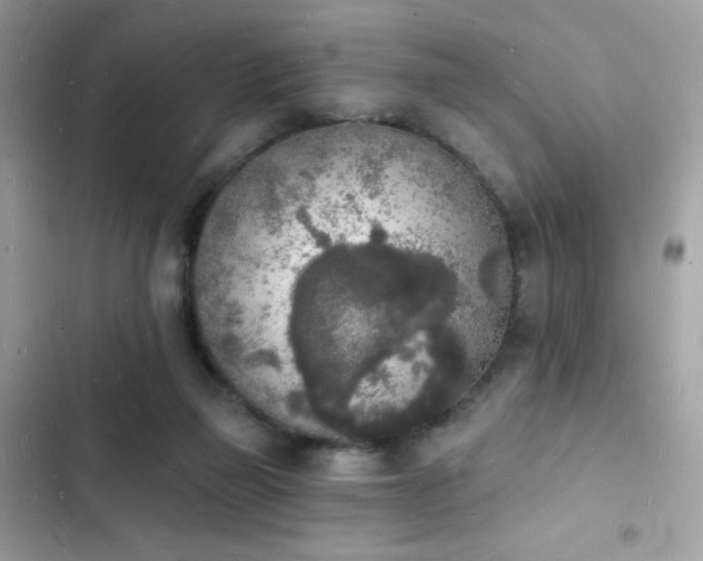 X0000103970165200809191542